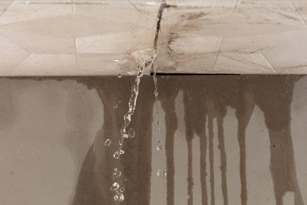 Professional Flood Damage Cleanup technician working in Daytona Beach, FL